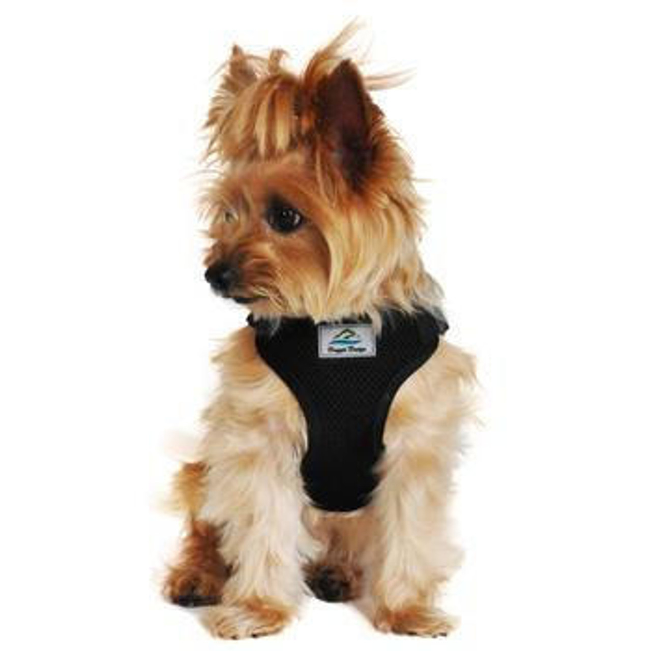 Doggie Design Wrap and Snap Choke Free Dog Harness-FINAL SALE 