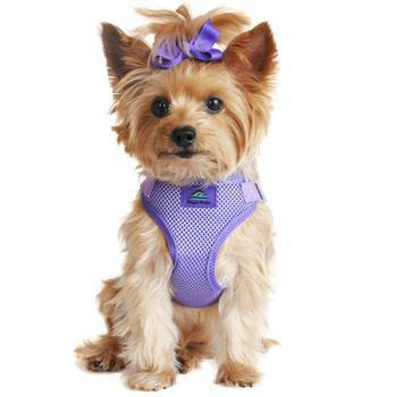 Doggie Design Wrap and Snap Choke Free Dog Harness-FINAL SALE 