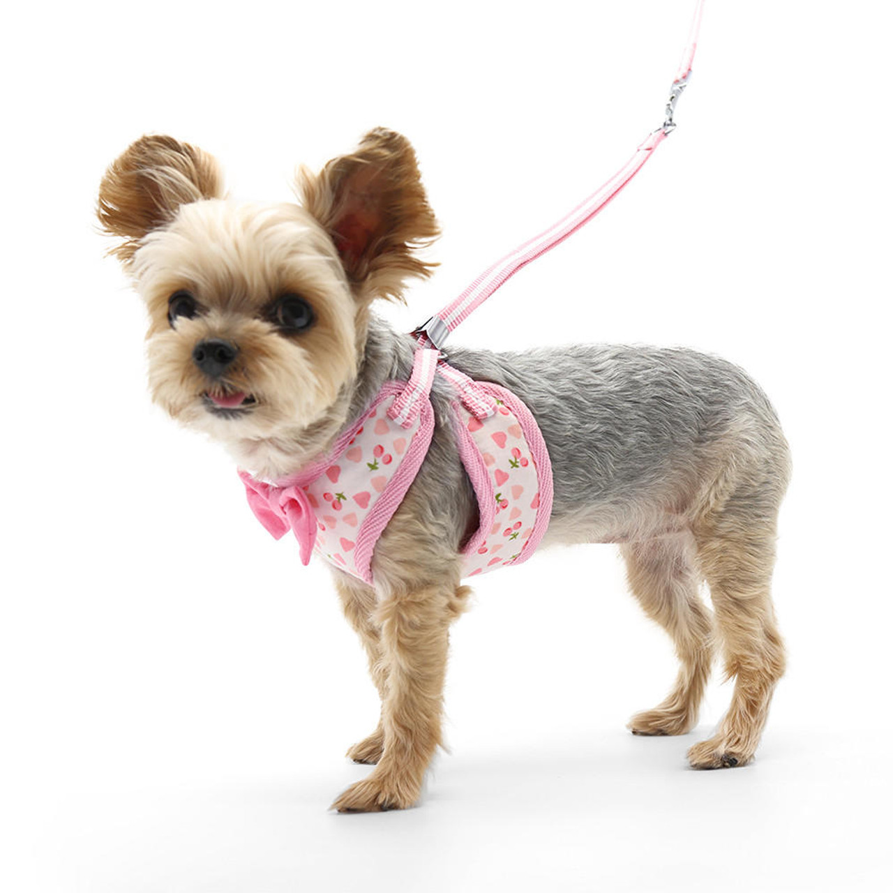 Dogo EasyGo Cherish Heart Harness 