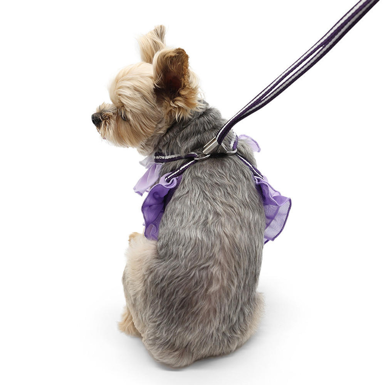 Dogo EasyGo Multi Ruffle Purple Harness 
