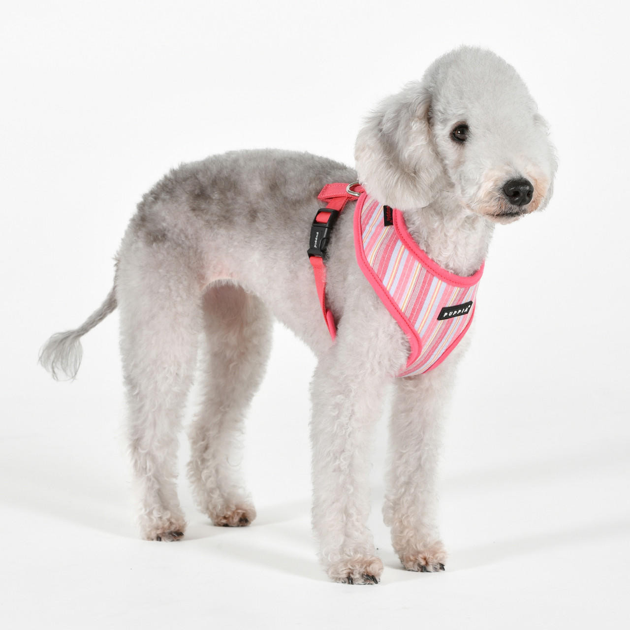 Puppia/Pinkaholic Puppia Theros Harness A - ALL COTTON 