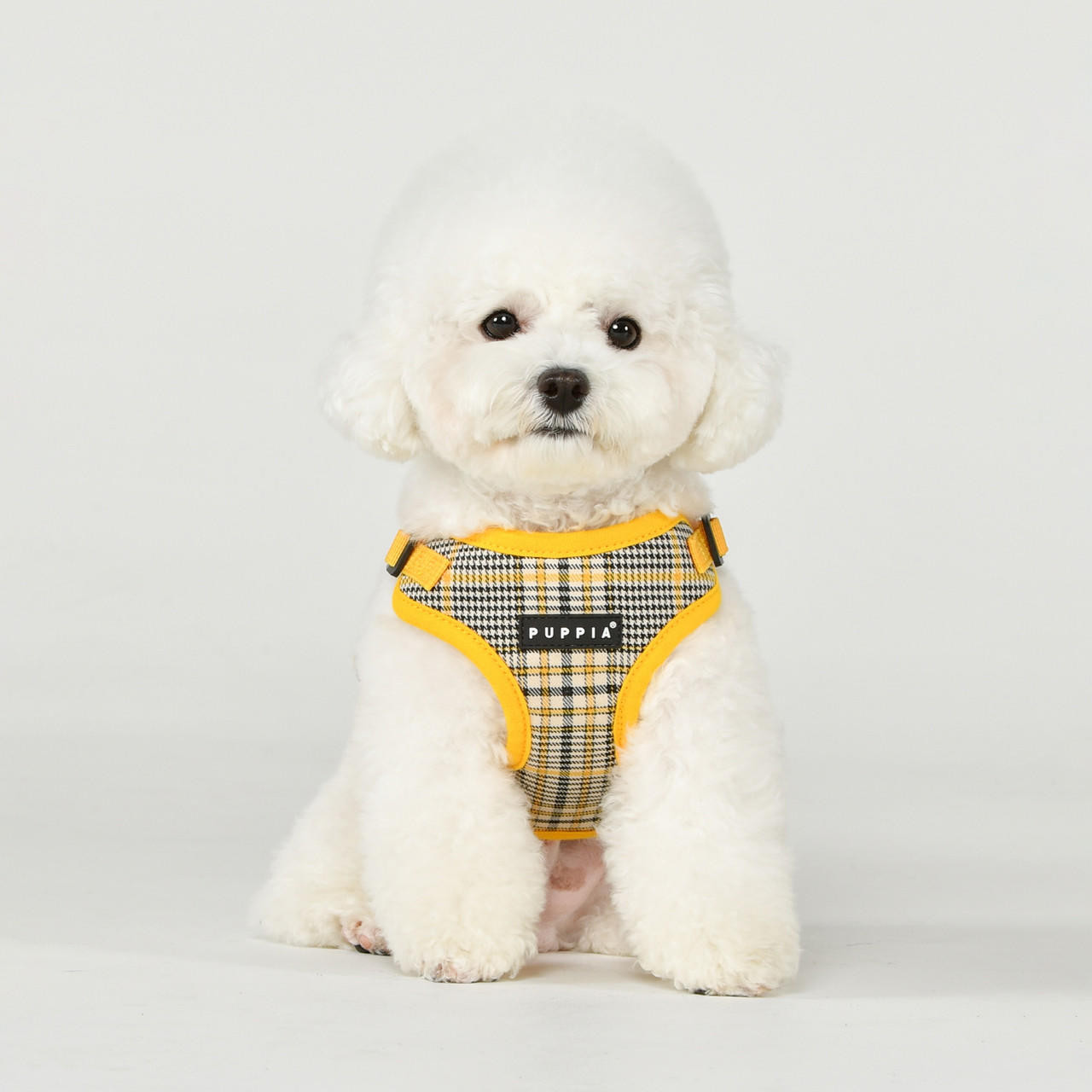 Puppia/Pinkaholic Puppia Lucas Harness C 