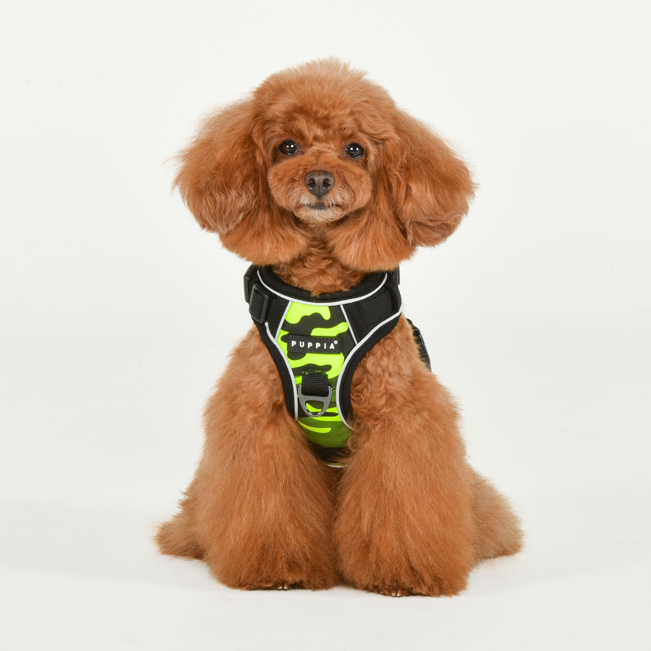 Puppia/Pinkaholic Puppia Battle Harness H 