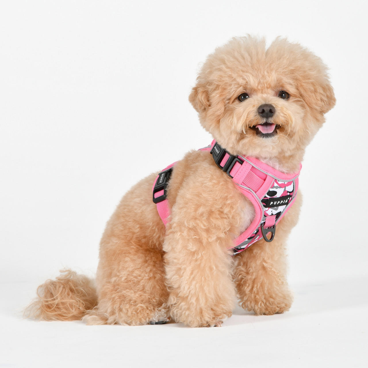 Puppia/Pinkaholic Puppia Abstract Harness H 