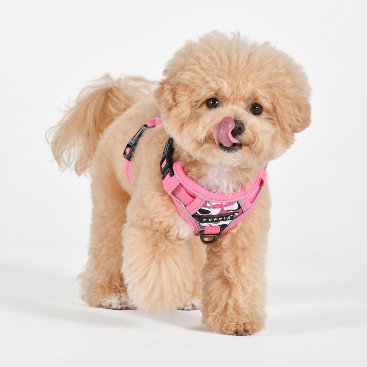 Puppia/Pinkaholic Puppia Abstract Harness H 