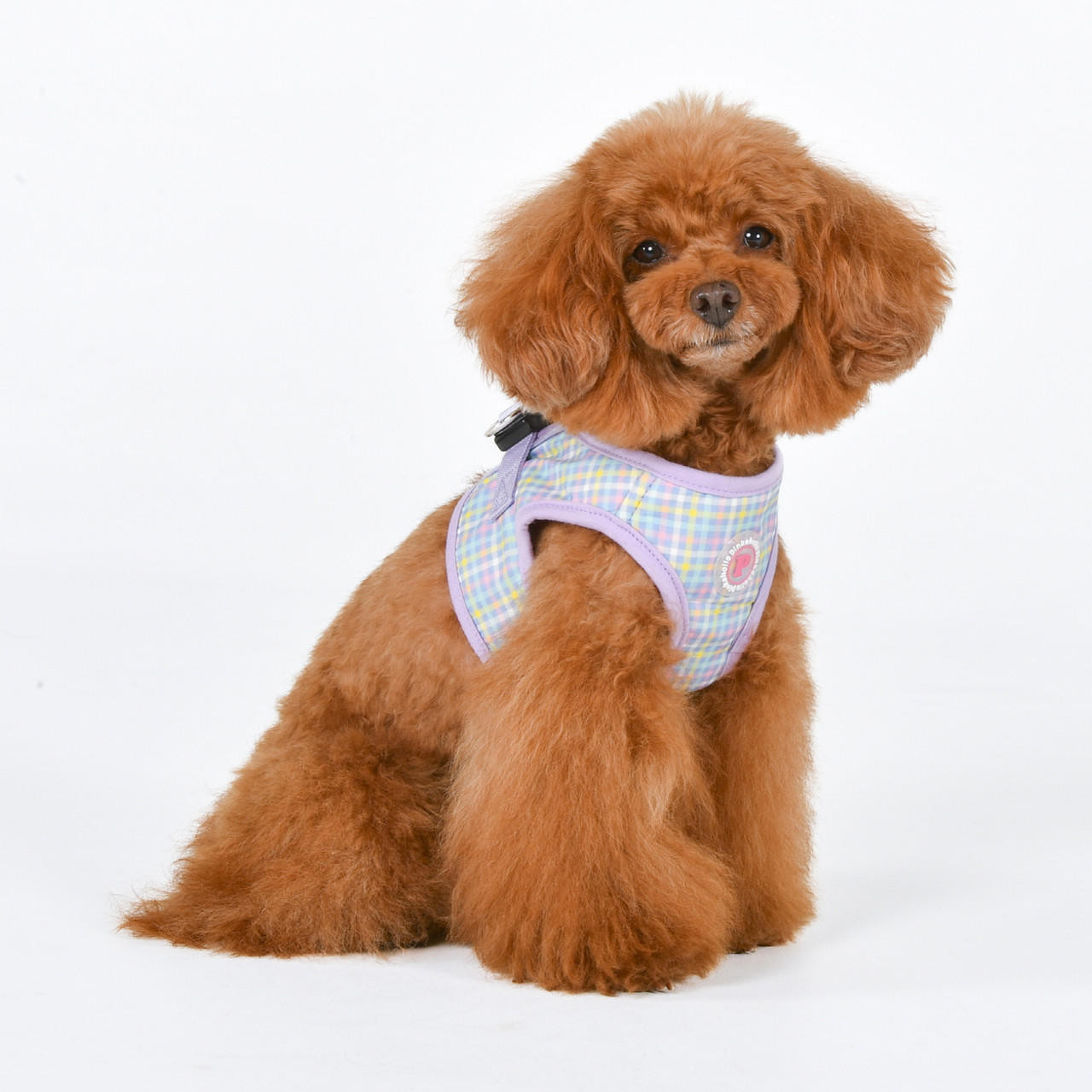 Puppia/Pinkaholic  Pinkaholic  Erasmus Vest Harness B -ALL COTTON 