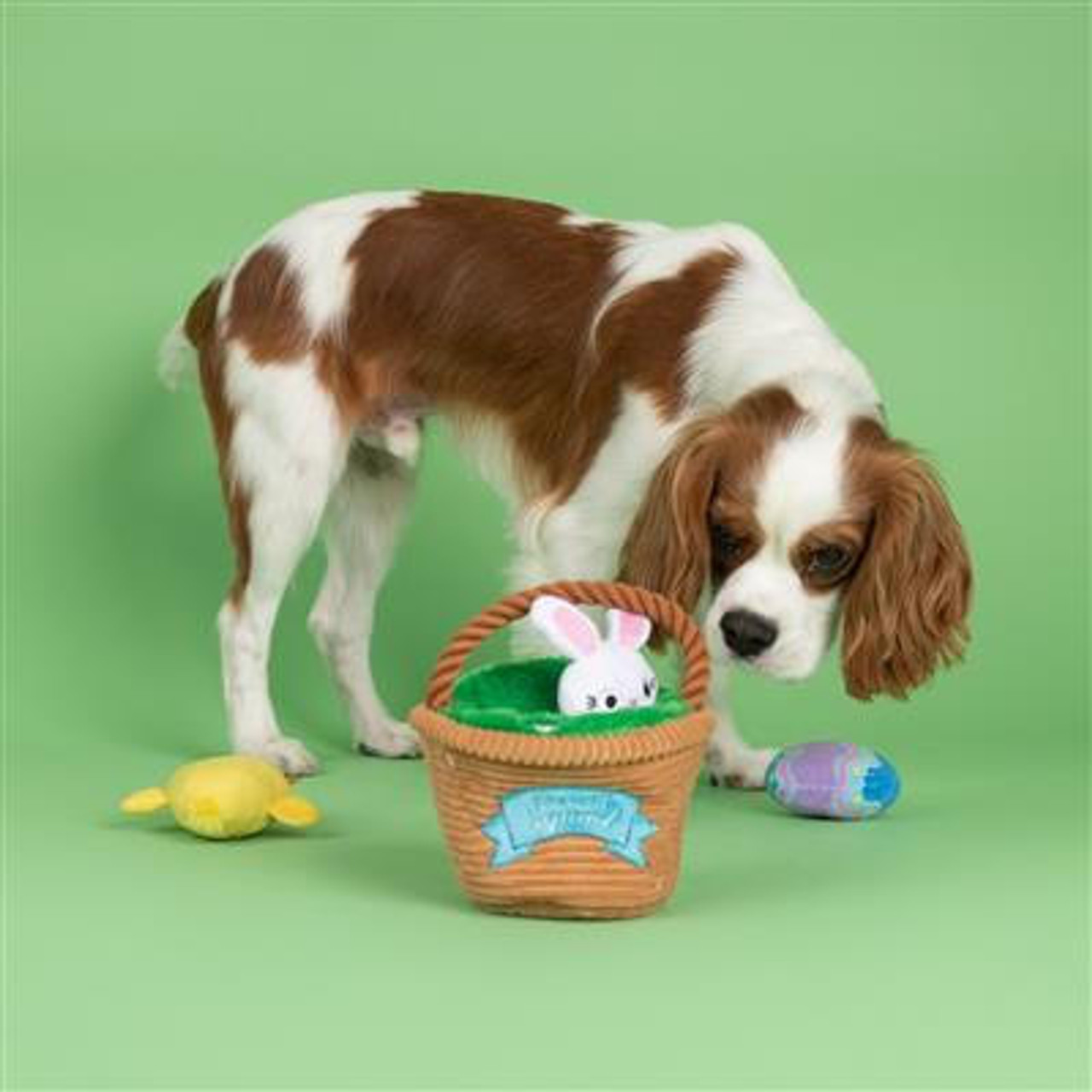 Fringe Studio Egg Hunt Squad Hide & Seek Plush Dog Toy Set-PetShop by Fringe Studio  