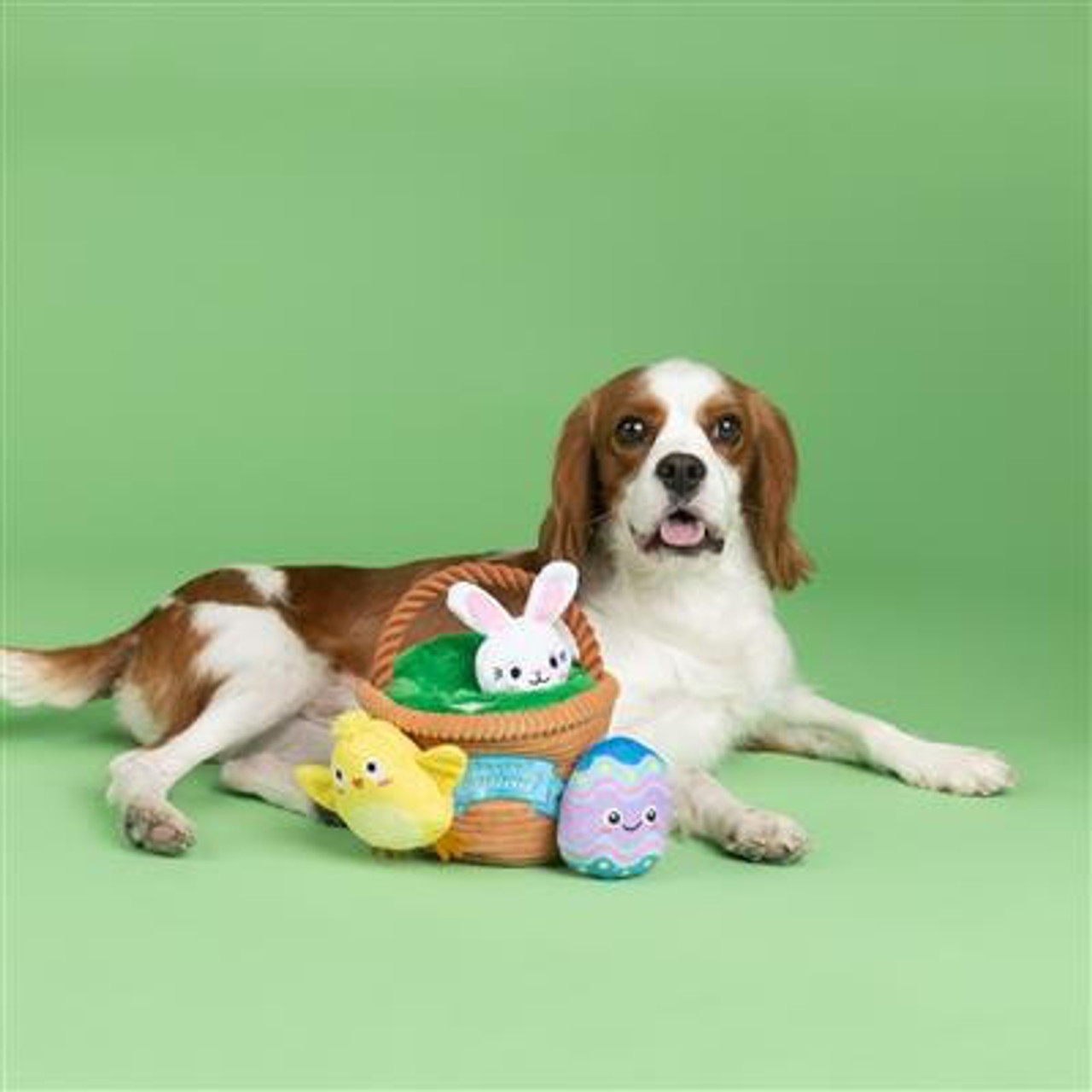 Fringe Studio Egg Hunt Squad Hide & Seek Plush Dog Toy Set-PetShop by Fringe Studio  