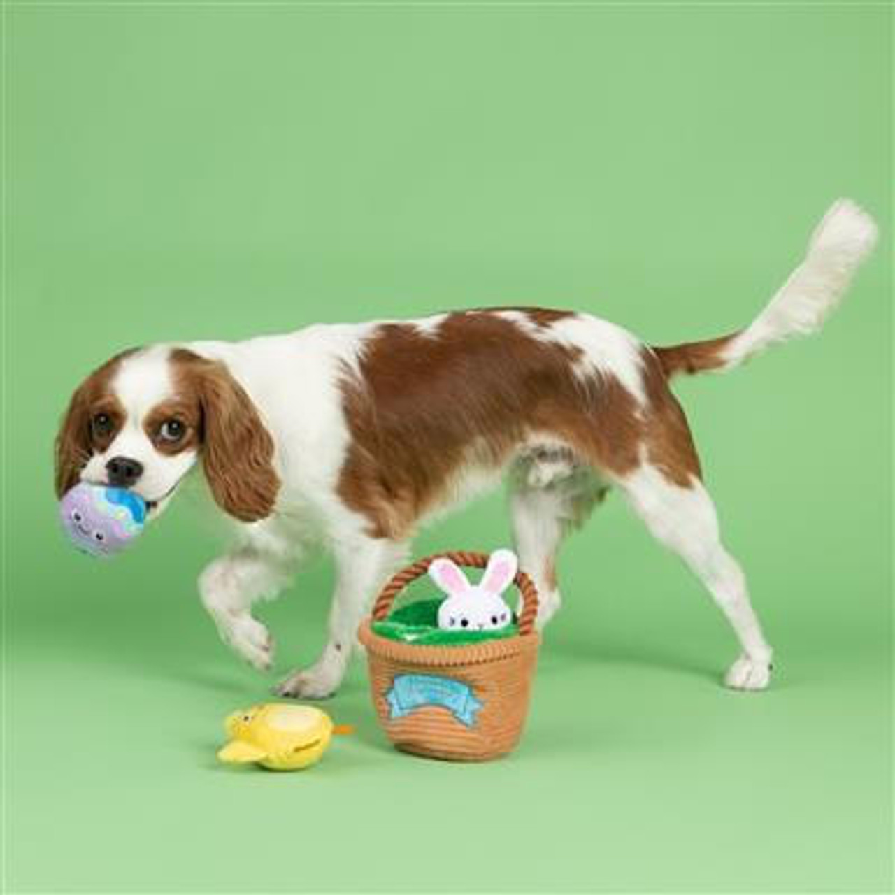 Fringe Studio Egg Hunt Squad Hide & Seek Plush Dog Toy Set-PetShop by Fringe Studio  
