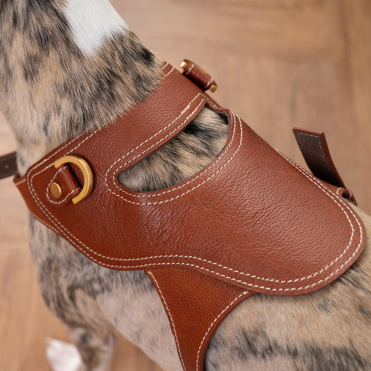  Kandog Leather Toscana Harness 