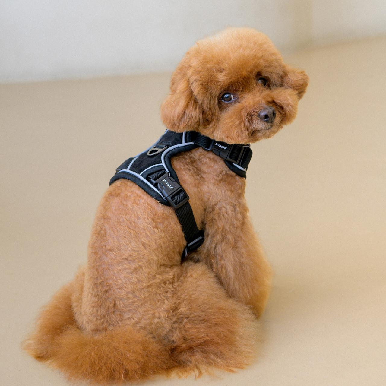 papipupepo Puppia Pawish
