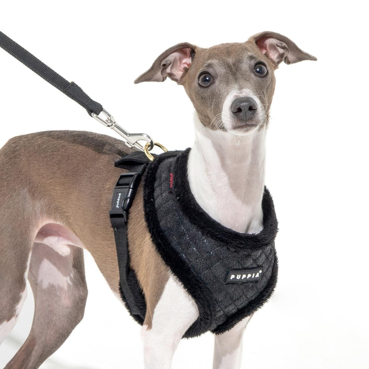 犬服・アクセサリー Pet a Portre PUPPILY HILLS Anniversary Puppia Vivien Vest Harness