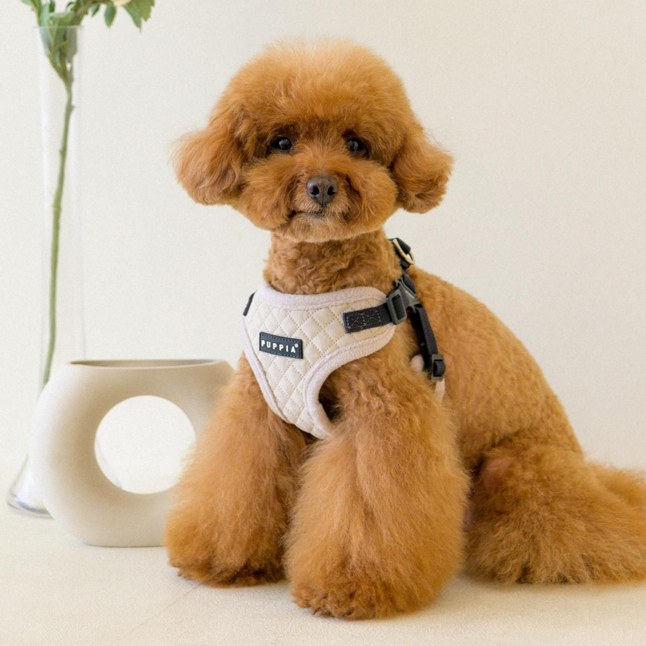 Puppia Soft Mesh Dog Harness - Shop Online!