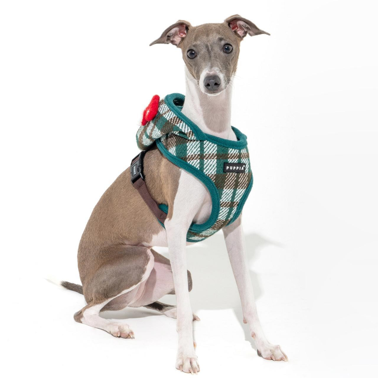 Puppia/Pinkaholic Puppia Festive Harness A-FINAL SALE 