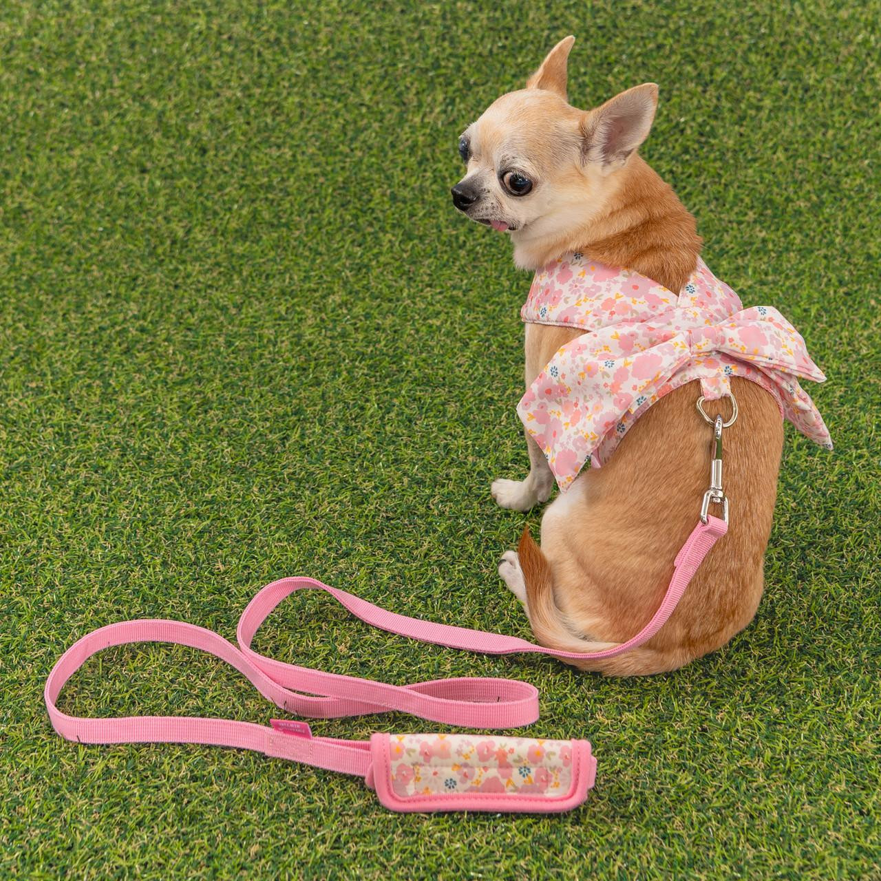 Puppia Soft Mesh Dog Harness - Shop Online!