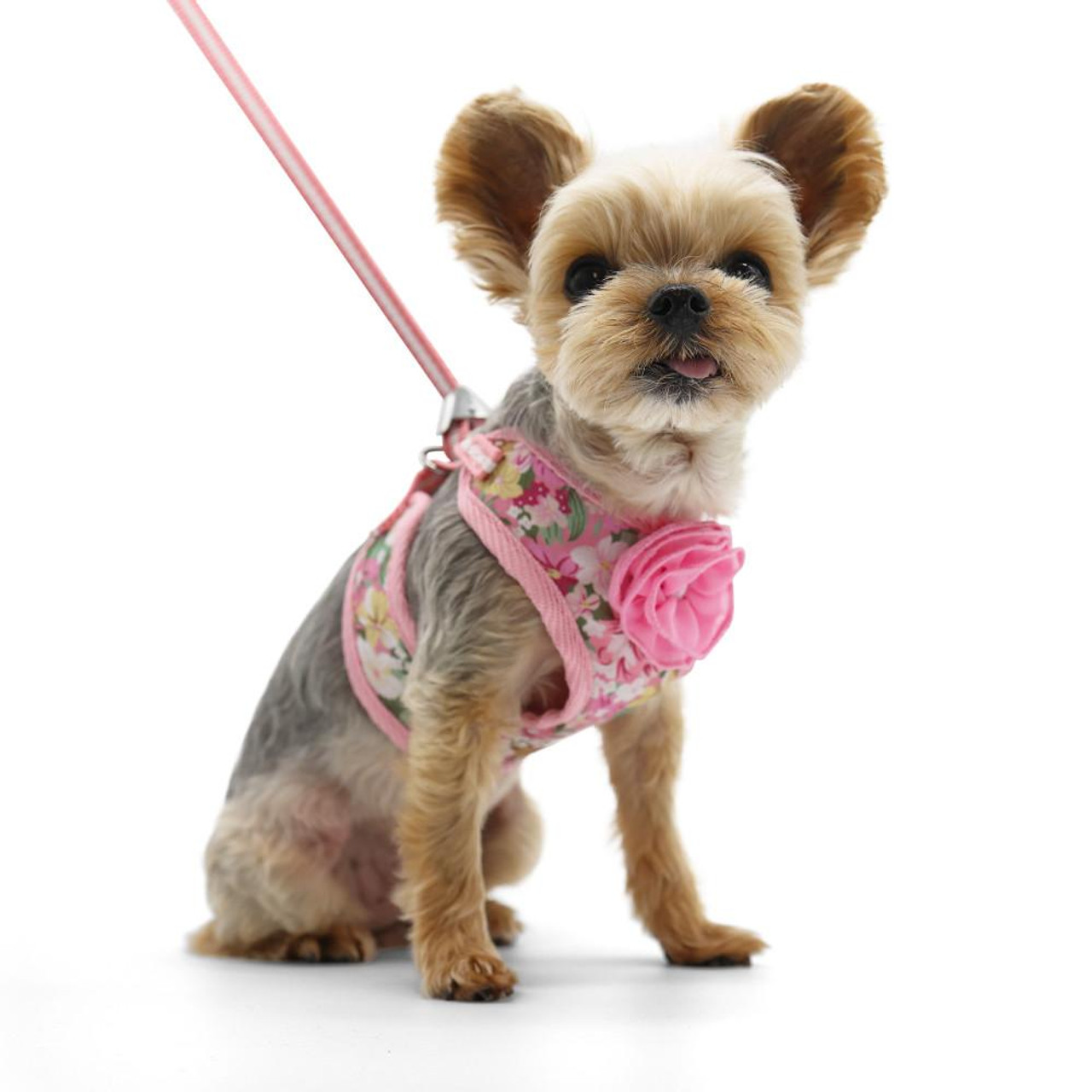 Dogo EasyGo Blossom Harness 