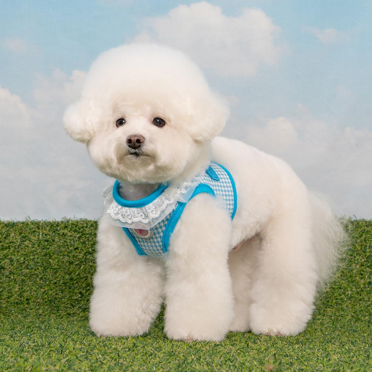 Puppia/Pinkaholic Pinkaholic Davina Vest Harness B 