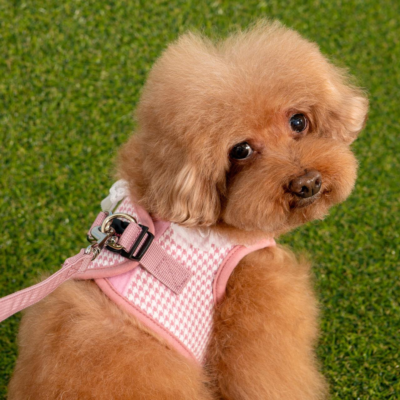 Puppia/Pinkaholic Pinkaholic Davina Vest Harness B 