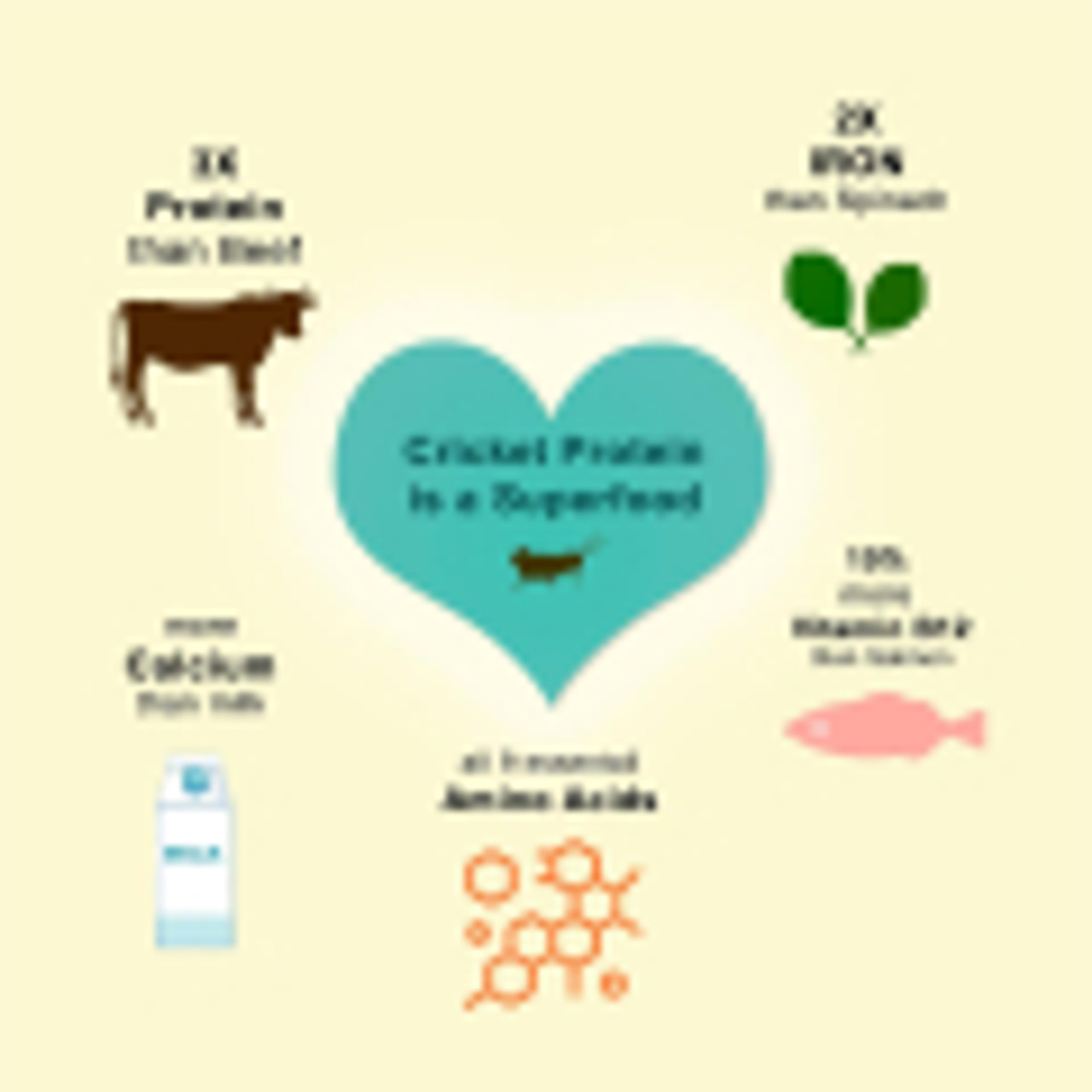 Fabrechew Nutritional Snack