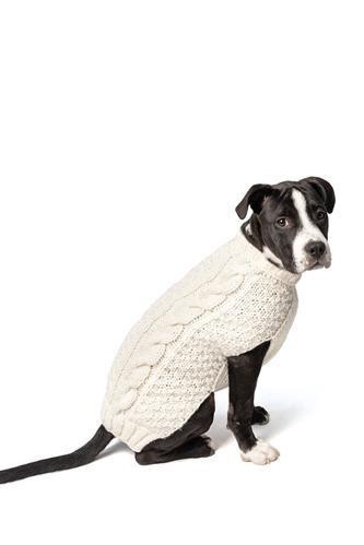 Chilly Dog Cable Knit-Natural Wool Sweater 
