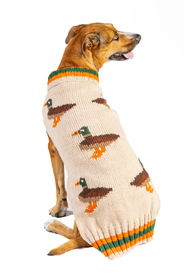 Lucky Duck Wool Sweater