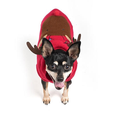 The Worthy Dog Rudy Reindeer Sweater 