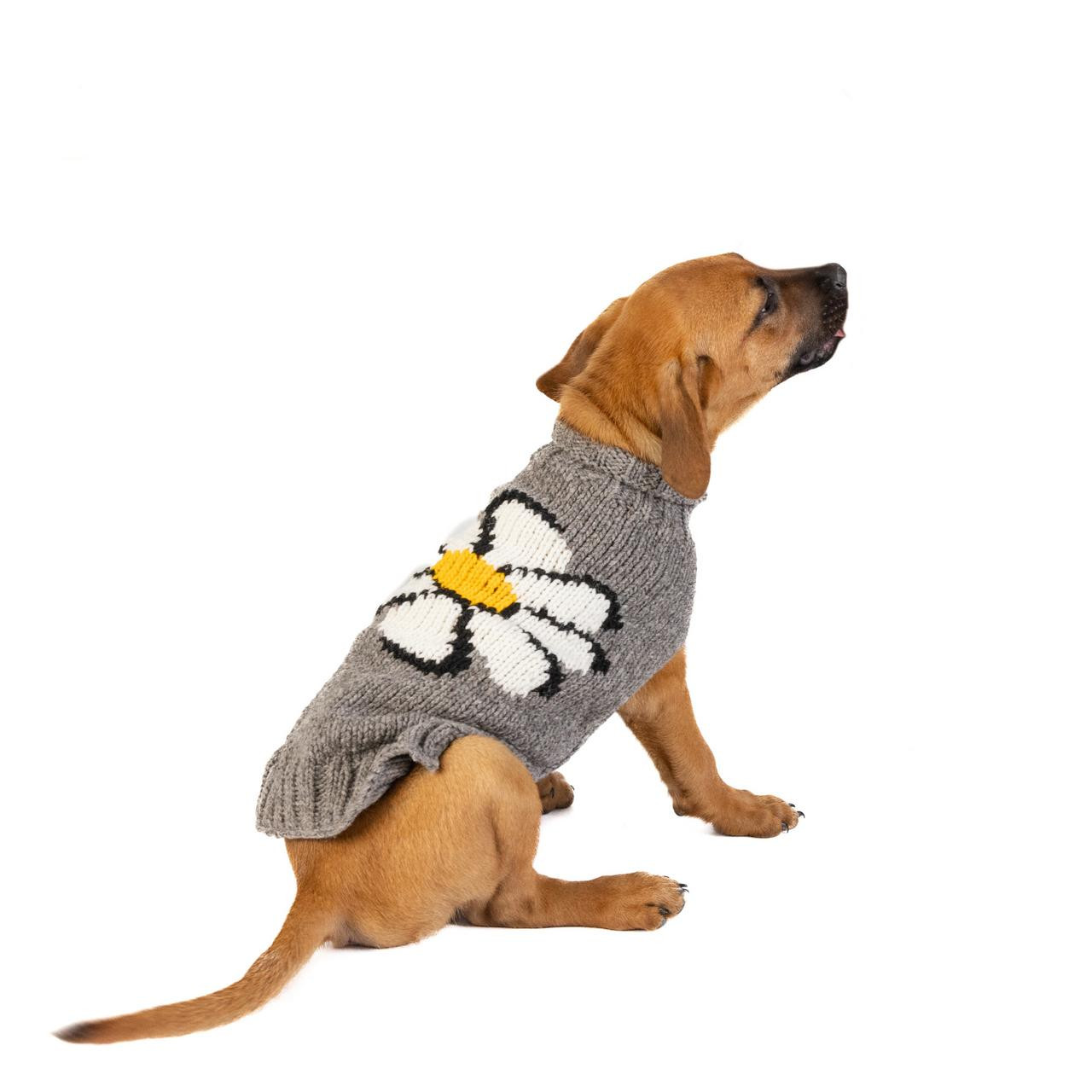Chilly Dog Big Daisy Wool Sweater 