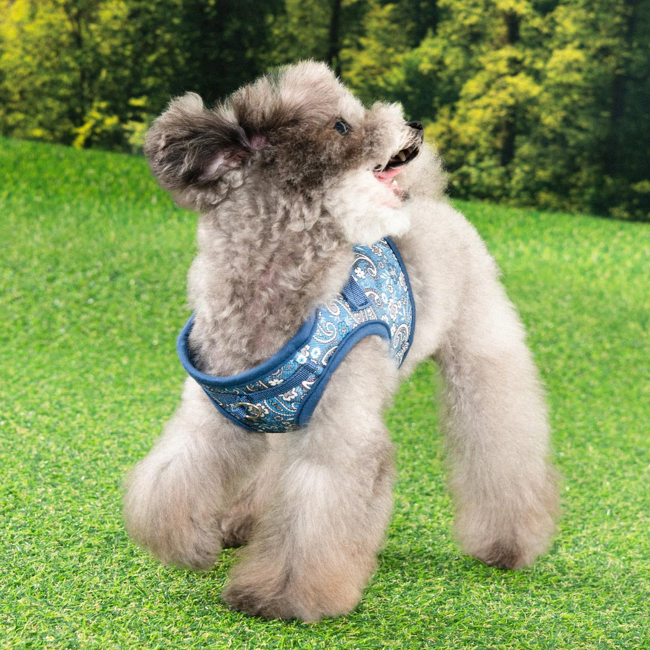 Puppia/Pinkaholic  Puppia Cynthia Vest Harness B 