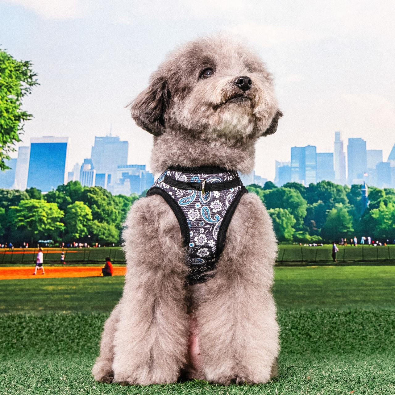 Puppia/Pinkaholic  Puppia Cynthia Vest Harness B 