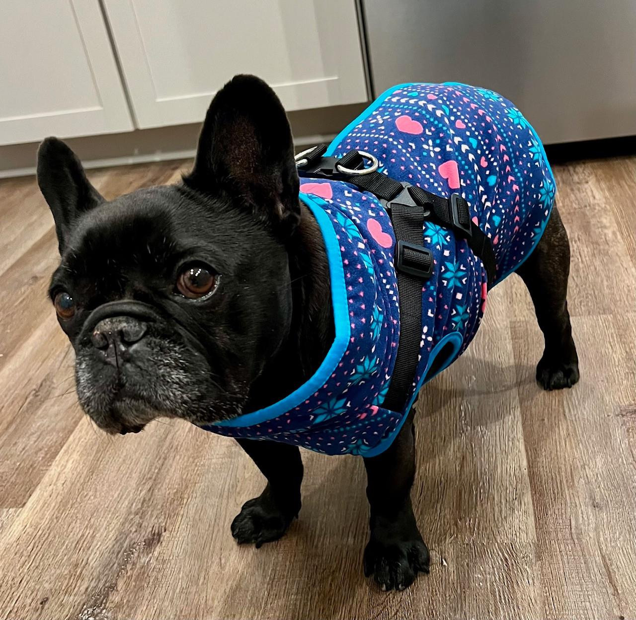  NYD Double Fleece Jacket Harness 