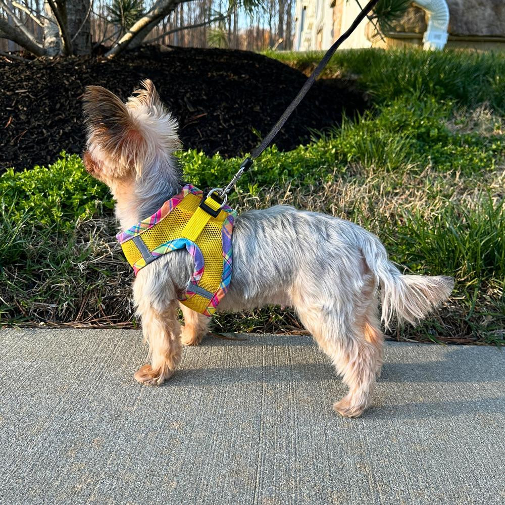  NYD Open Mesh Step In Harness-BUY 3  FOR $17.95 EACH-NEW COLORS 