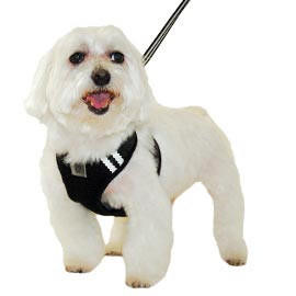 Dogo DOGO EasyGO Solid Dog Harness 