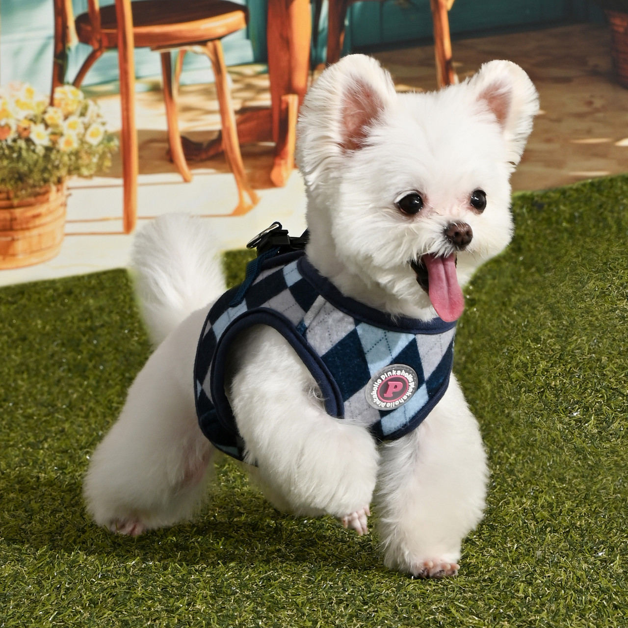 Pinkaholic Solene Vest Harness B