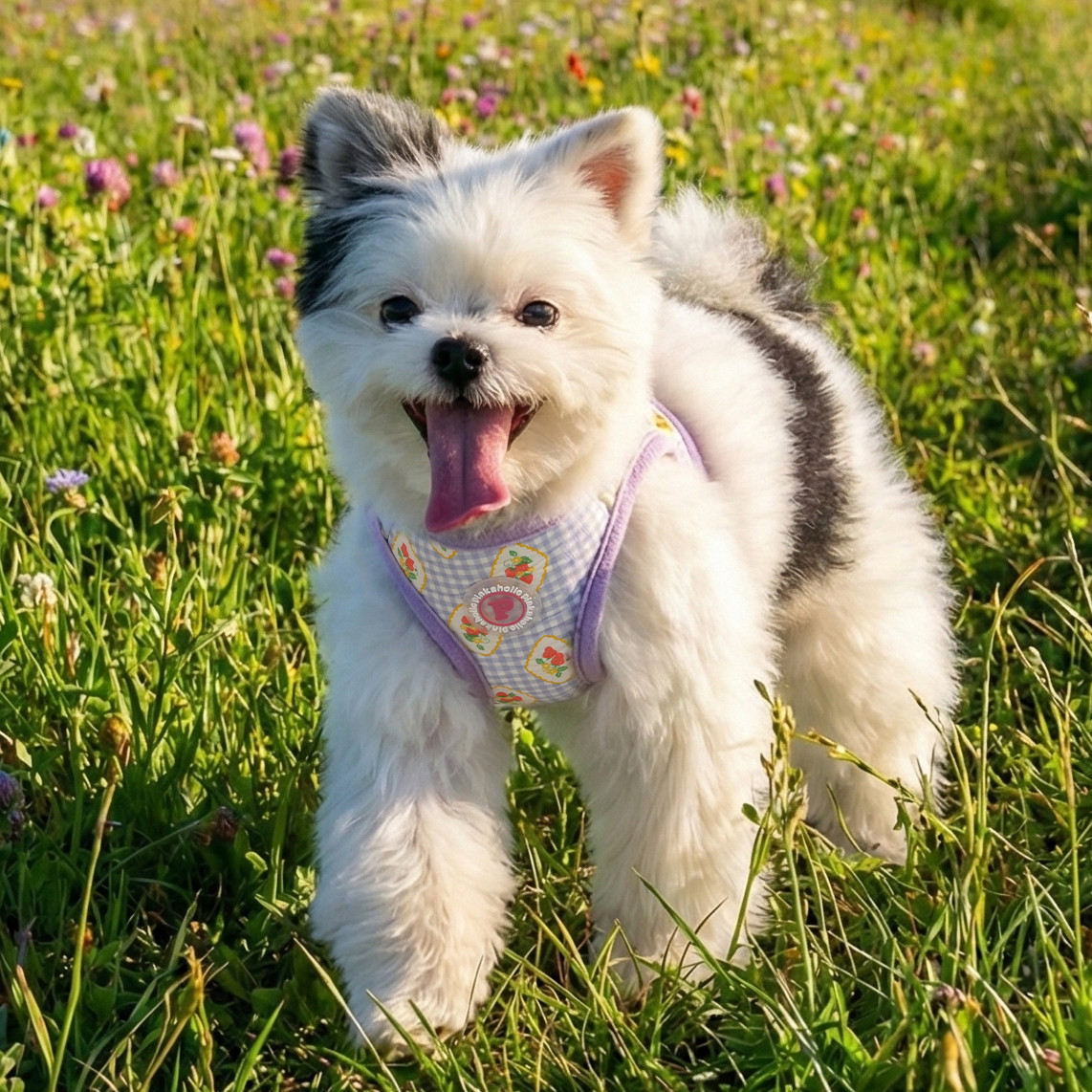 Pinkaholic Trixie Vest Harness B-100% Cotton
