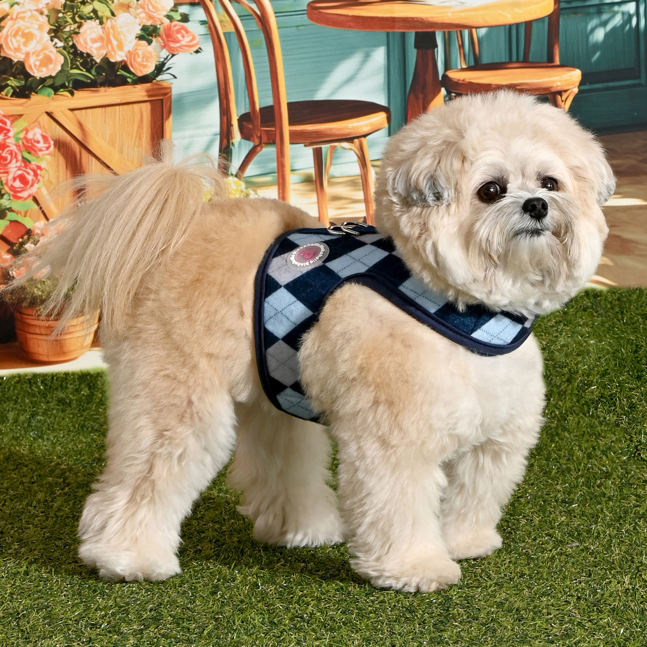 Pinkaholic Sulene Harness J