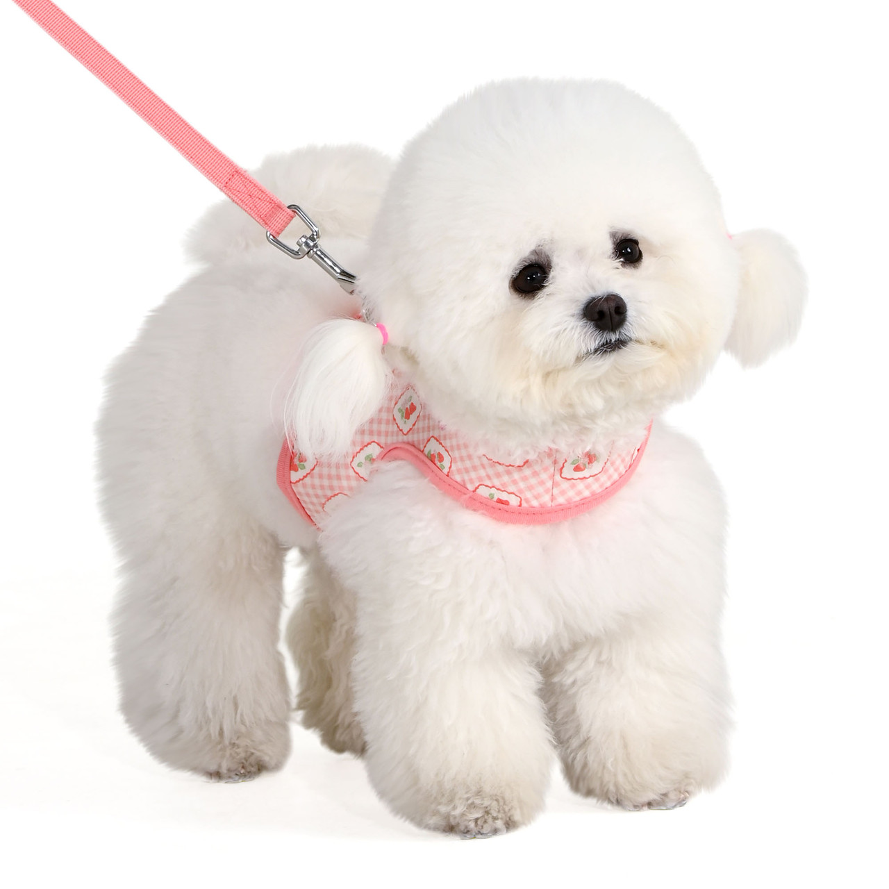 Pinkaholic Trixie Cotton Harness J