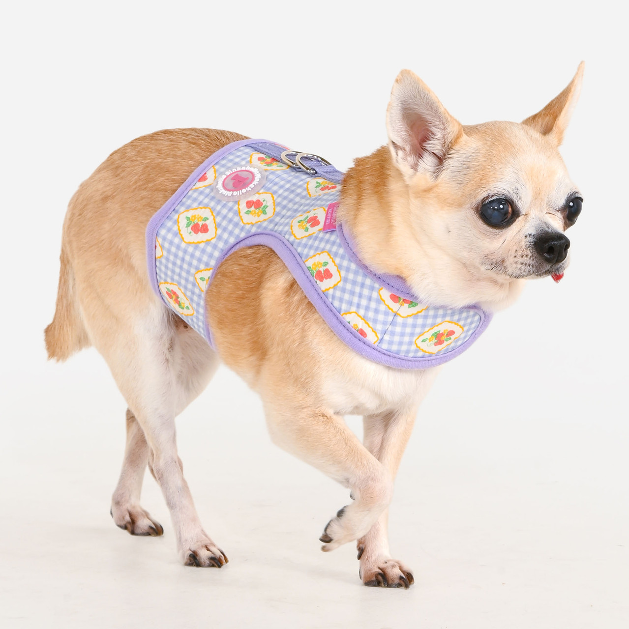 Pinkaholic Trixie Cotton Harness J