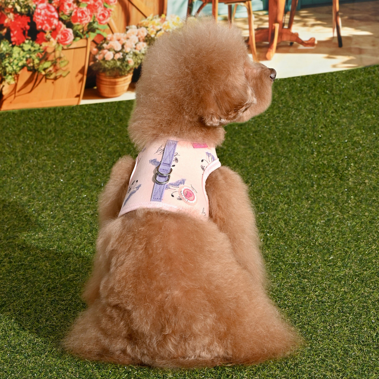 Pinkaholic Kiki Cotton Harness D