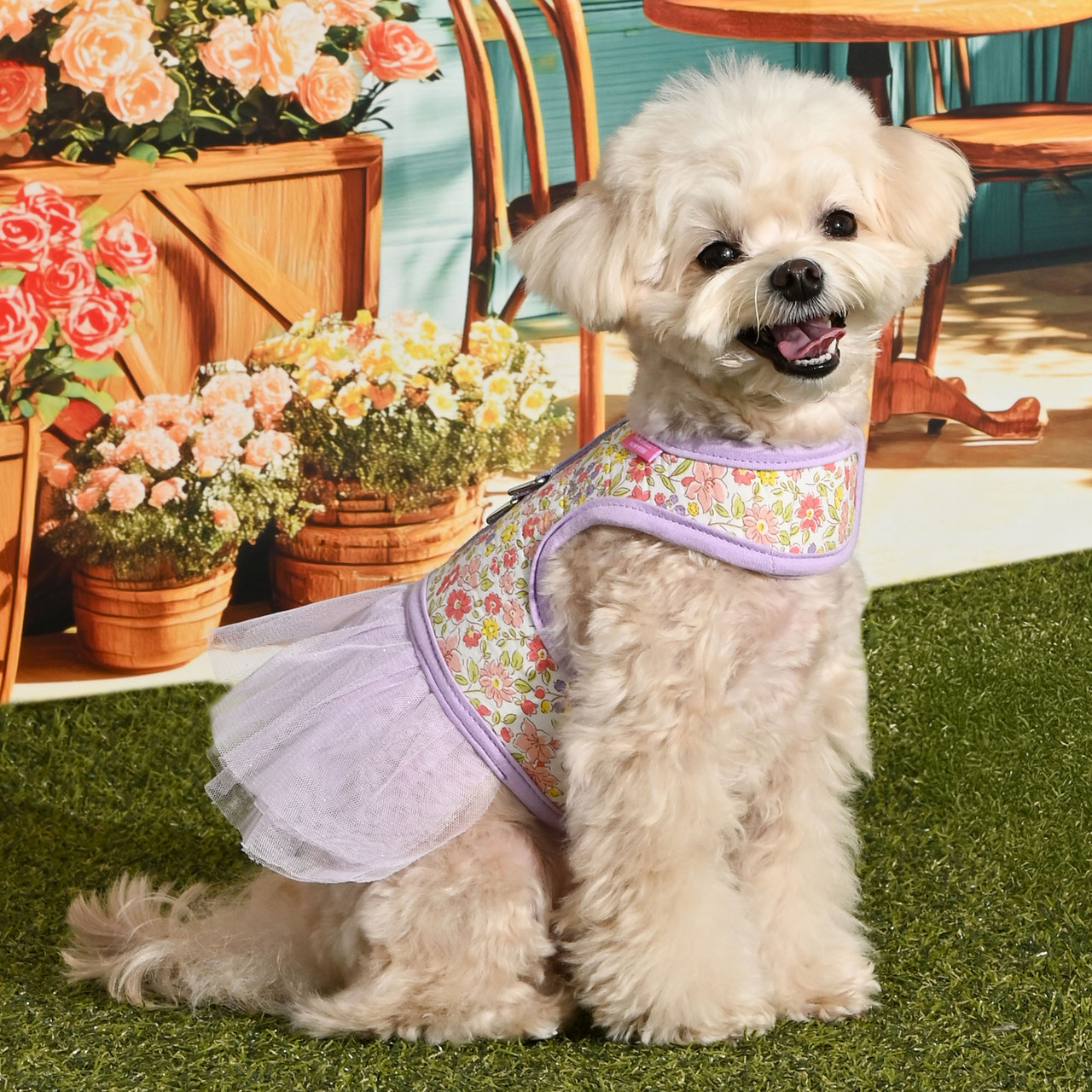 Pinkaholic Ione Cotton Harness J