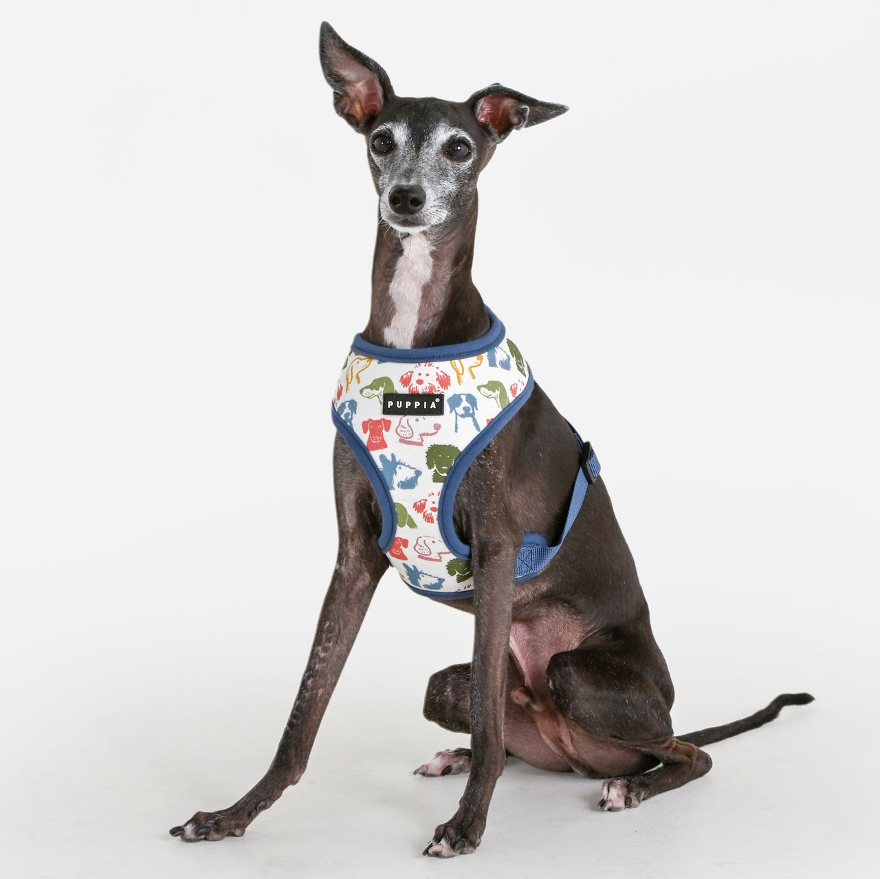  Puppia Connor Cotton Harness A