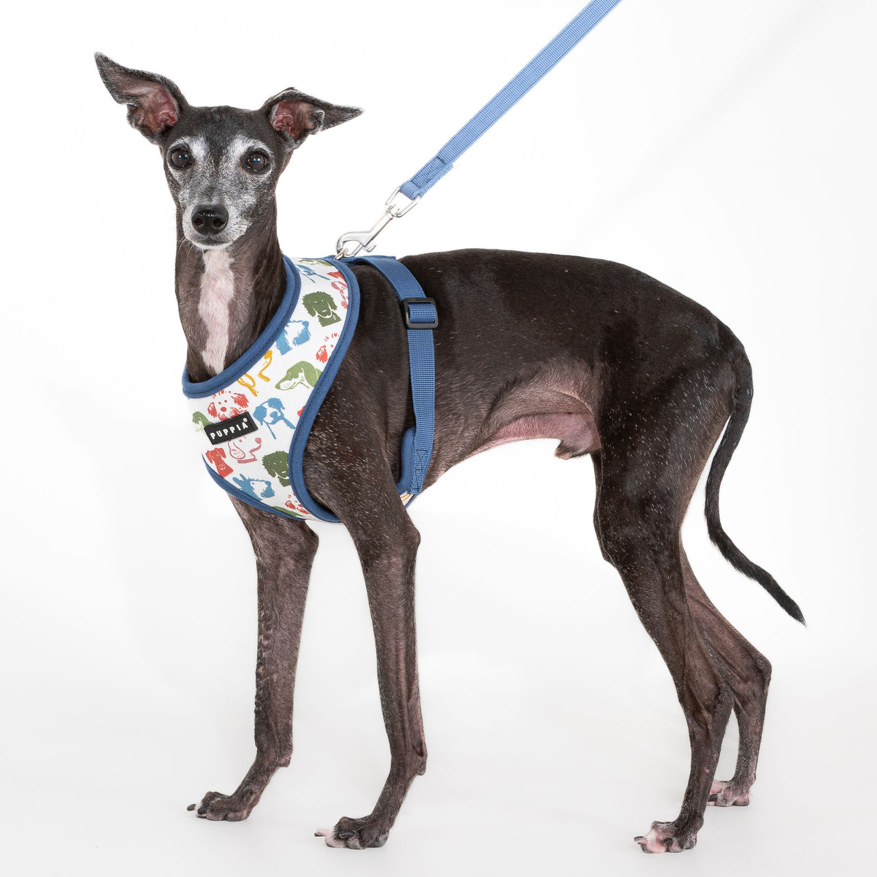  Puppia Connor Cotton Harness A