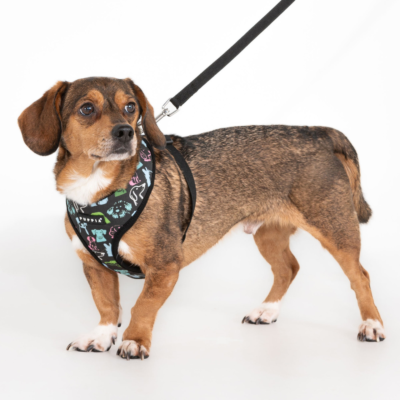  Puppia Connor Cotton Harness A