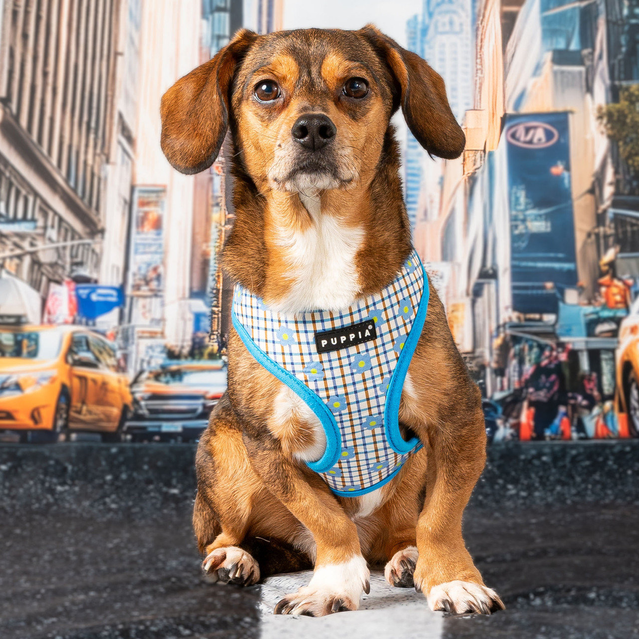 Puppia Westley Cotton Harness A