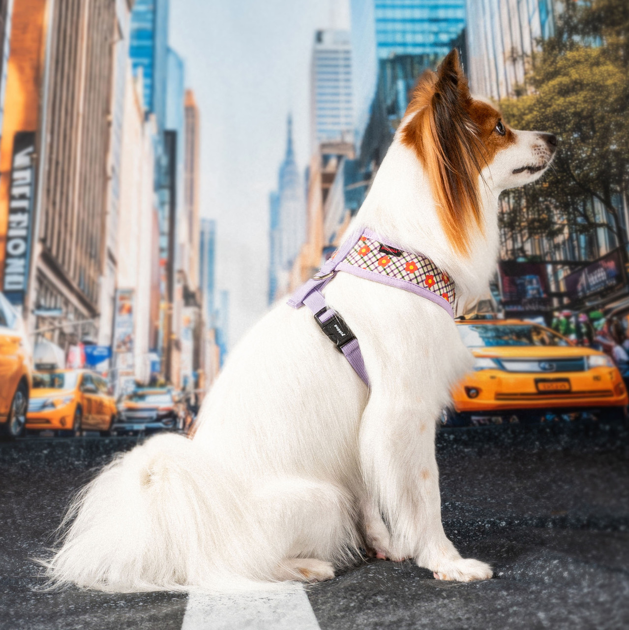 Puppia Westley Cotton Harness A