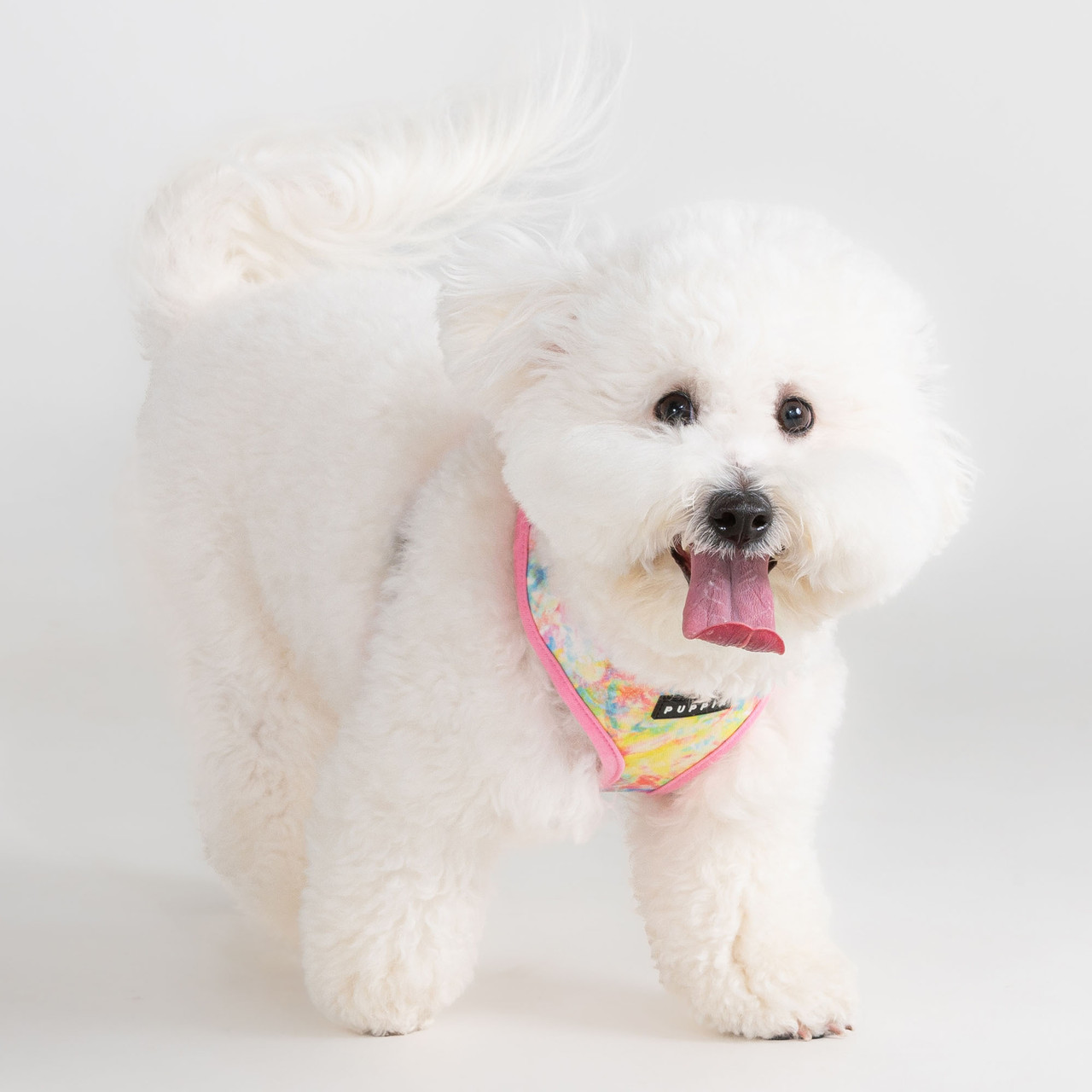 Puppia Nola Cotton Harness A