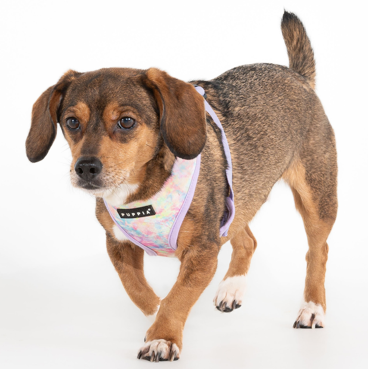 Puppia Nola Cotton Harness A