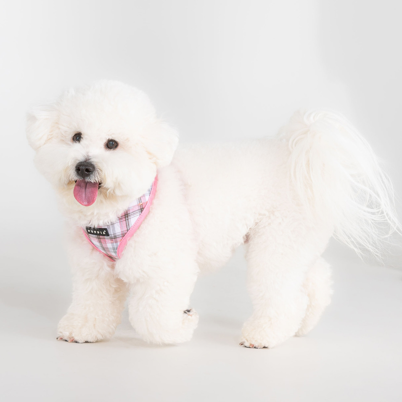  Puppia Windsor Harness A