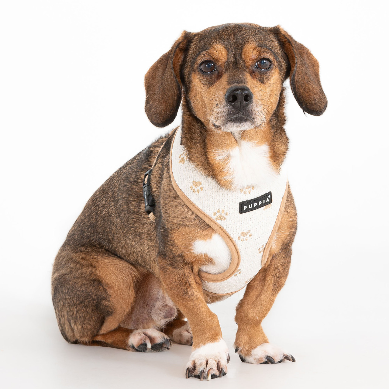 Puppia Pawprint Harness A