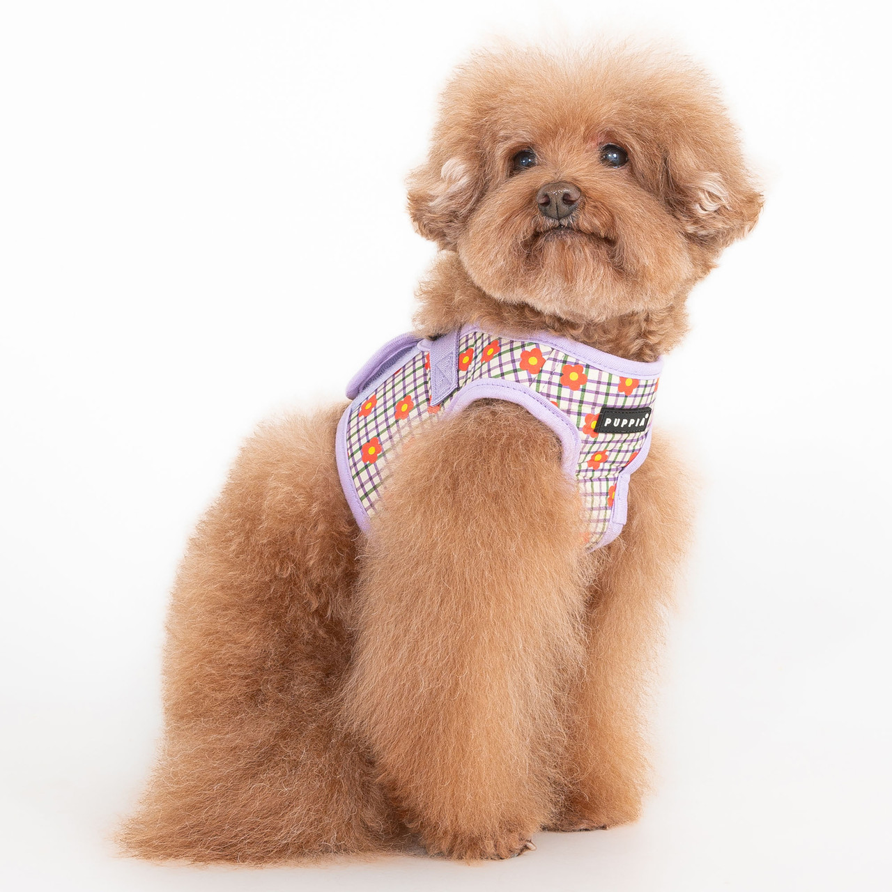 Puppia Westley Cotton Vest Harness B