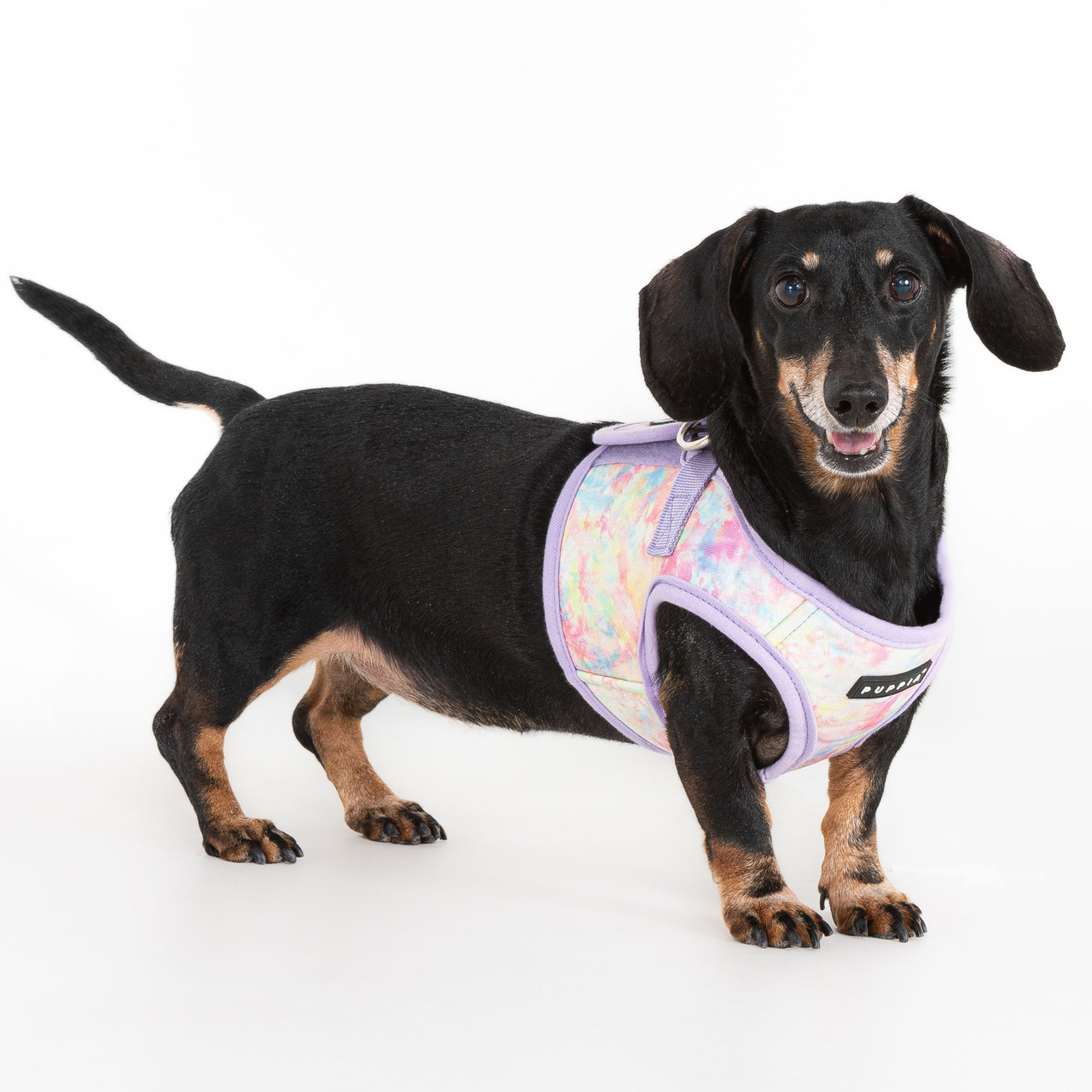 Puppia Nola Cotton Vest Harness B